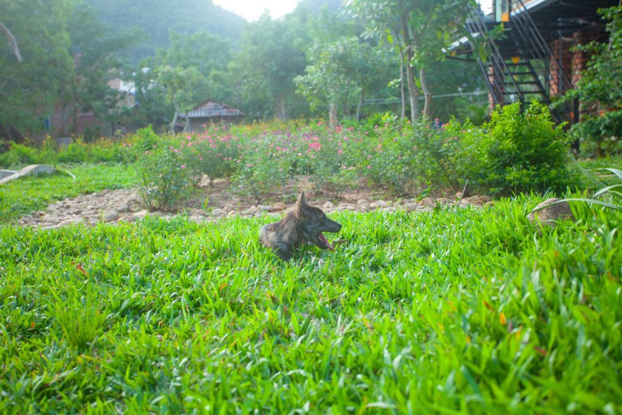 Phong Nha Bolero Bungalow Quarto foto